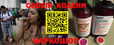 индика Партизанск
