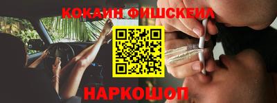индика Партизанск