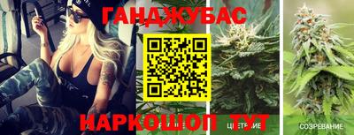 индика Партизанск